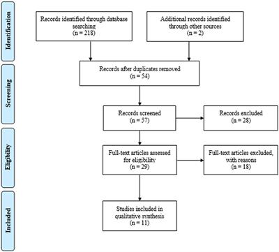 Health of Non-binary and Genderqueer People: A Systematic Review